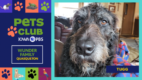 Iowa PBS Pets Club, June 12, 2025