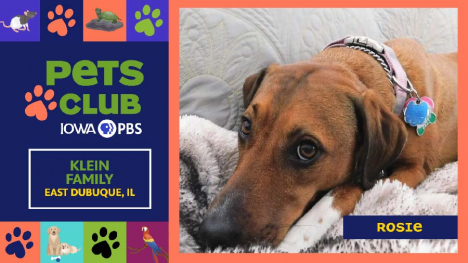 Iowa PBS Pets Club, June 26, 2025