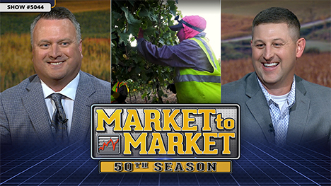 Market to Market - June 20, 2025 | Jeff French, berry picking and Ross Baldwin