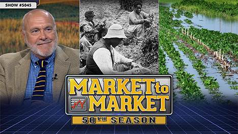Market to Market - June 27, 2025 | Dan Hueber, workers in a field and a flooded crop field.