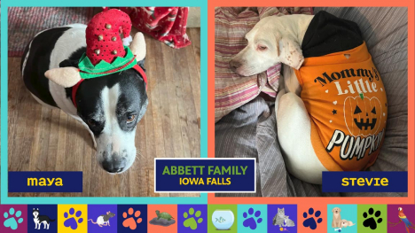 Iowa PBS Pets Club, July 24, 2025