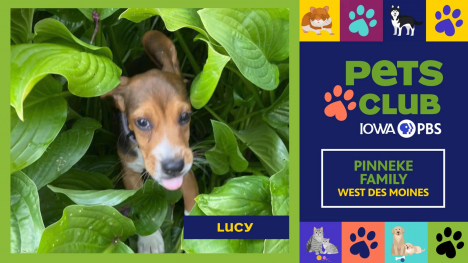 Iowa PBS Pets Club, July 31, 2025