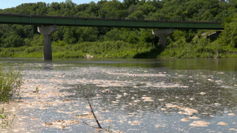 nitrate foam floats on surface of Des Moines River