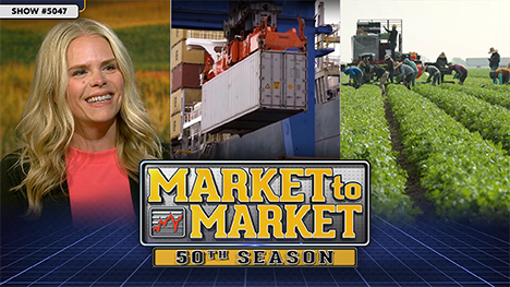 Market to Market - July 11, 2025 | Kristi Van Ahn - Kjeseth, a shipping container and workers out in a farm field.