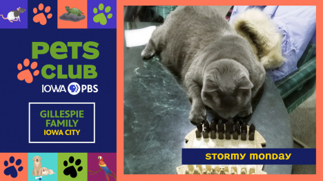 Iowa PBS Pets Club, August 21, 2025