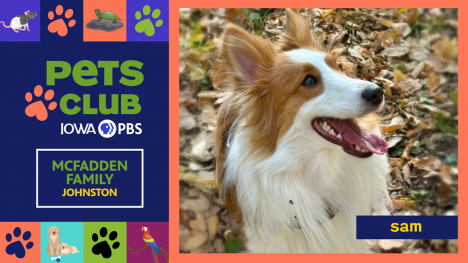 Iowa PBS Pets Club, August 28, 2025