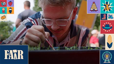 A participant in the Weed Identification Contest attempts to ID a weed.