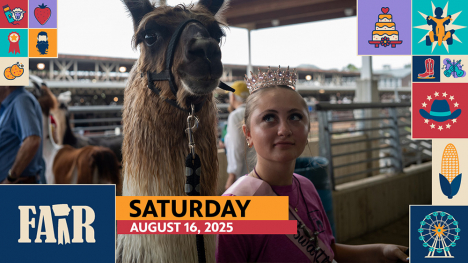 Fair 2025: Saturday Highlights Show - image of a person looking at a llama.