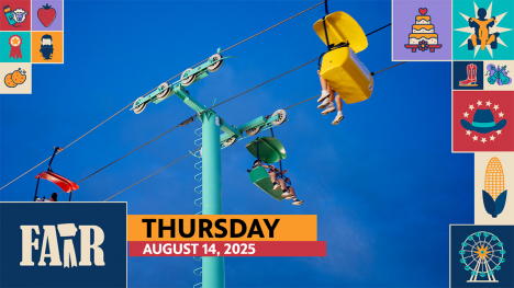 People riding the sky glider at the fair.