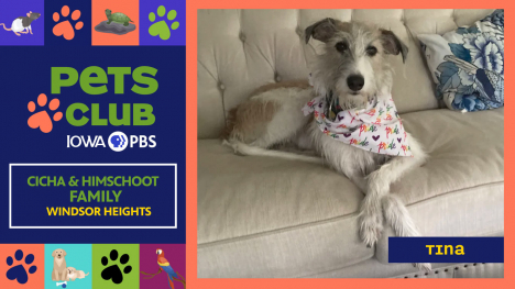 Iowa PBS Pets Club, September 18, 2025