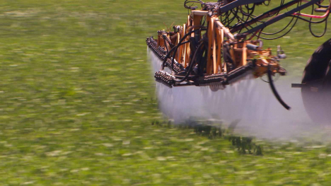 spraying soybeans