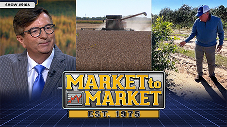Market to Market - September 26, 2025 | Don Roose, a combine in a field and a citrus farmer standing next to his crop.