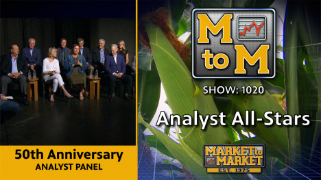 50th Anniversary Analyst Panel | MtoM Analyst All-Stars