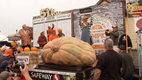 2024 Pumpkin World Championship in Half Moon Bay, California