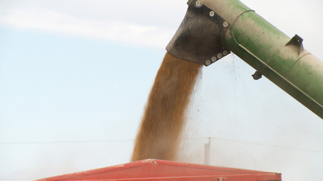 Farmers continue to battle lower prices as the tariff war continues.