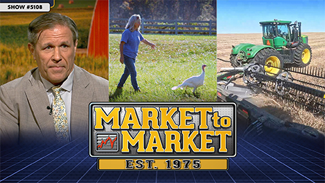 Market to Market - October 10, 2025 | Shawn Hackett, a woman follows a turkey, harvesting equipment out in the field.