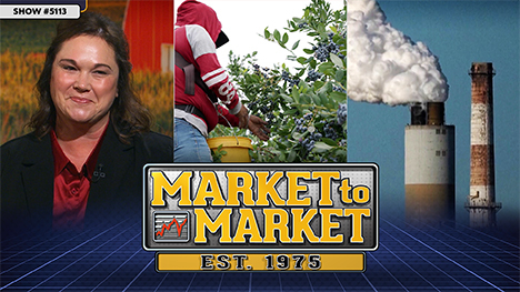 Market to Market - November 14, 2025 | Naomi Blohm, a person in a hoodie harvesting blueberries and a couple of smokestacks.