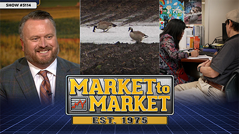 Market to Market - November 21, 2025 | Jeff French, Geese in a field, a woman and man at a desk.
