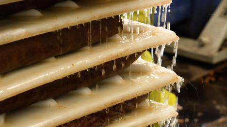 Apple juice draining out of apple press