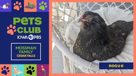 Pets Club January 15, 2026