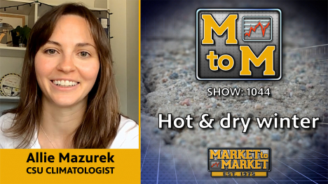 Allie Mazurek in office