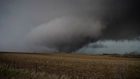 A tornado touches down in an Iowa farm field.