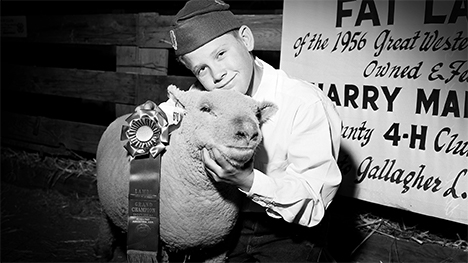 A black and white photo of a boy in 4-H with his award-winning lamb.