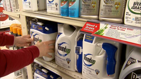 Roundup containers on a store shelf.