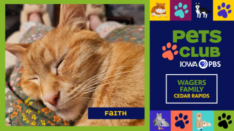 Pets Club -  June 18, 2026