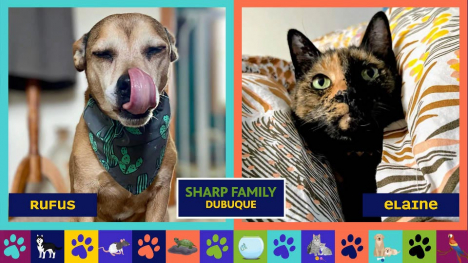 Pets Club -  July 23, 2026