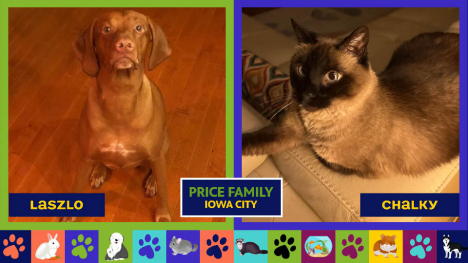 Pets Club -  August 6, 2026