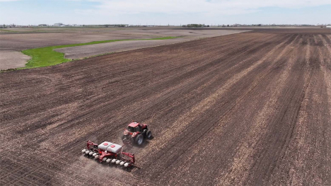 Planting