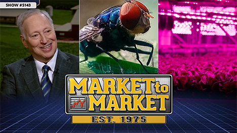 Market to Market - June 12, 2026 | Mark Gold, a fly, and an indoor growing operation under pinkish lights.