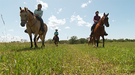 A group of four horses and their riders walking through a grassy field.