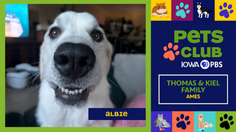 Pets Club -  August 27, 2026