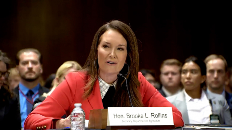 Secretary of Agriculture Brooke Rollins testifies to the House Appropriations Committee. She is wearing a salmon colored blazer.