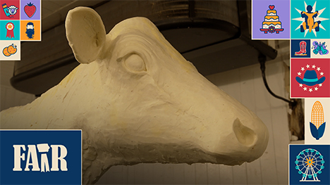 A close shot of the head of The Iowa State Fair Butter Cow.
