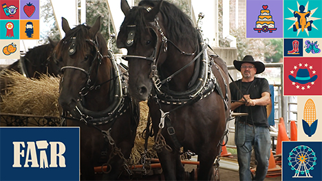 Two large horses pull a cart full straw as they are guided by a man with a black shirt and black cowboy had.