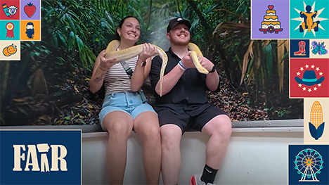 A woman and man sit on a wall next to vegetation while holding a large python snake on their shoulders.