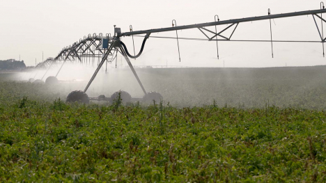 a water sprayer soaks a field