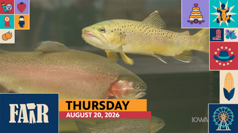 Fair 2026 – Thursday, August 20: image of two fish swimming in a tank