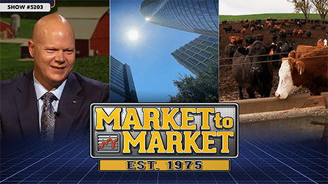 Ted Seifried, looking up at a city skyline and cattle in a muddy field. Market to Market logo.