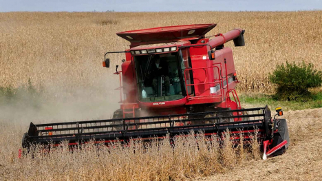 Red combine harvesting soybeans with dust rising behind it.