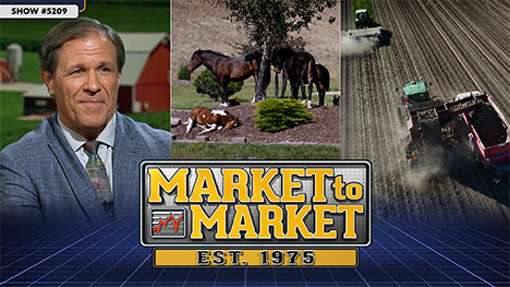Shawn Hackett, horses near a tree and farm machinery in a field. Plus, the Market to Market logo.